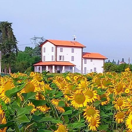 La Collinetta B&B Crespellano Ngoại thất bức ảnh