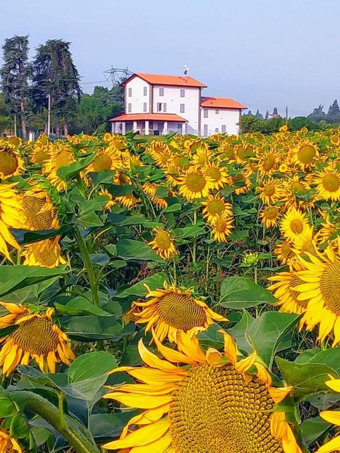 La Collinetta B&B Crespellano Ngoại thất bức ảnh